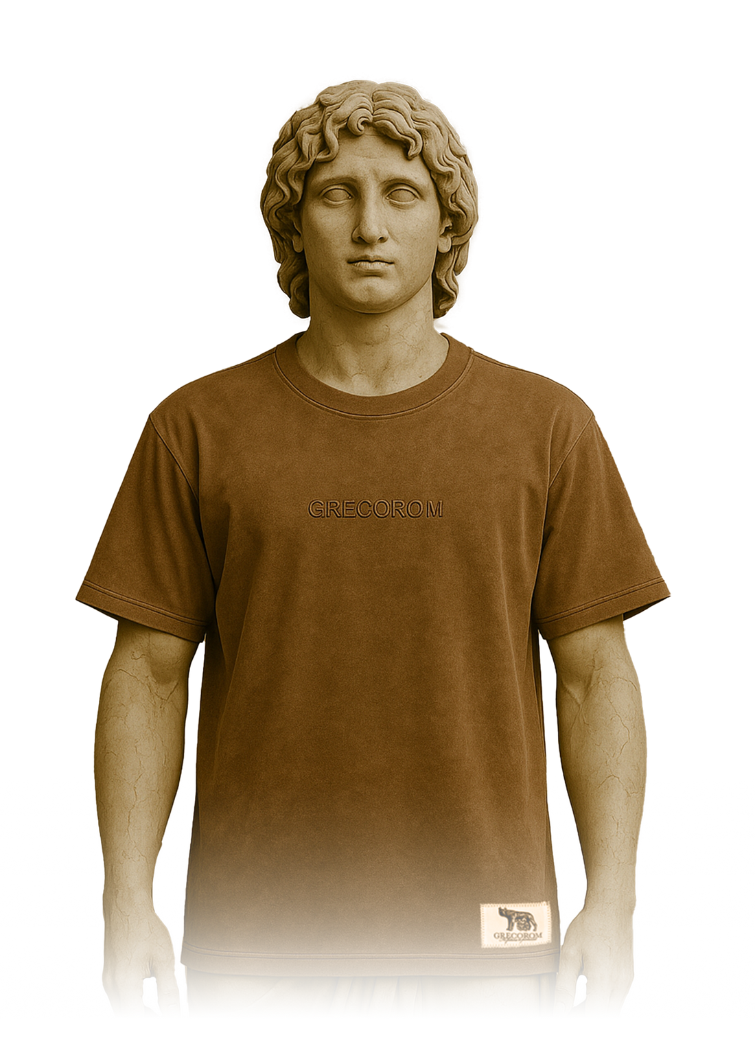 Brown Washed T-Shirt