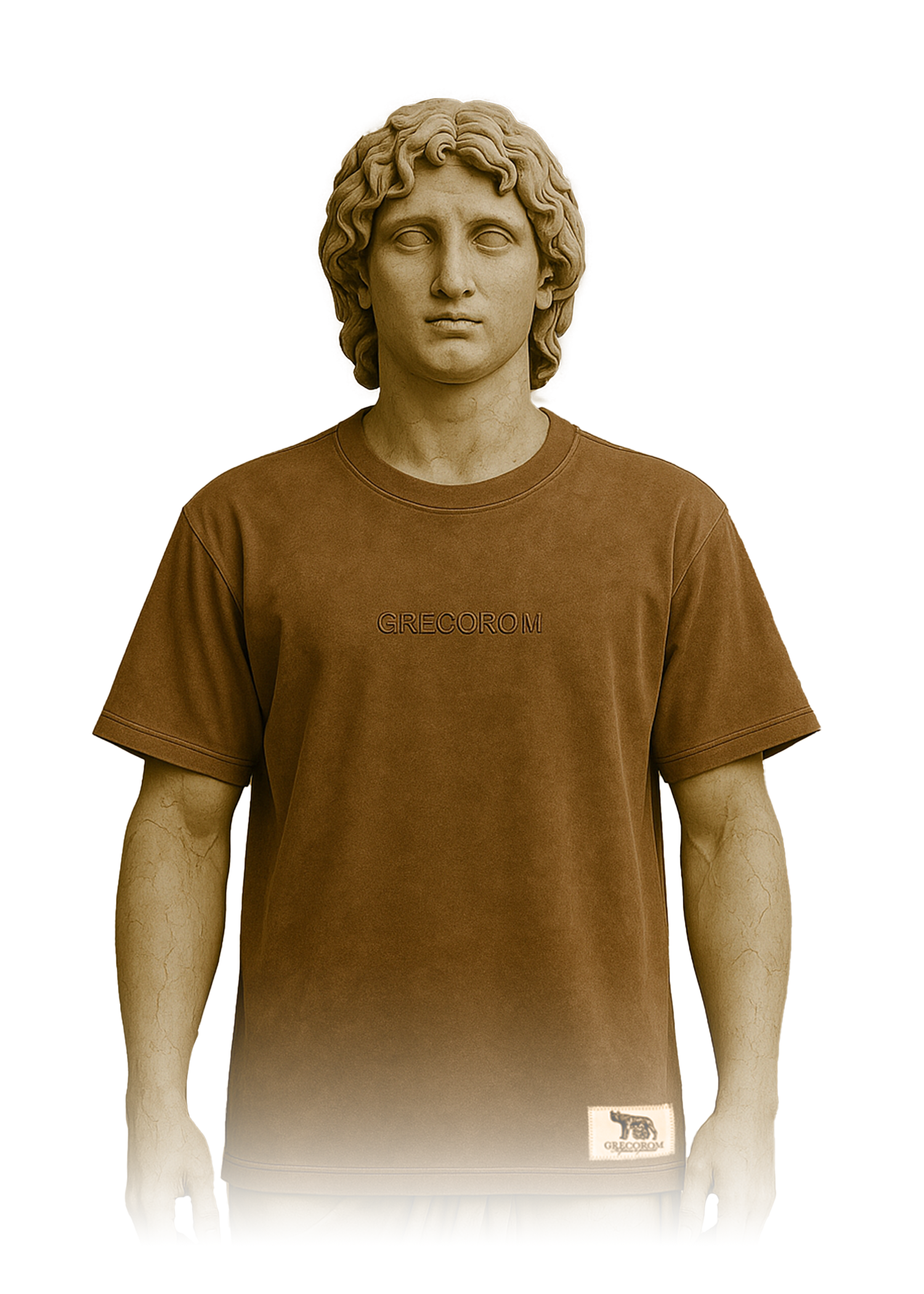 Brown Washed T-Shirt