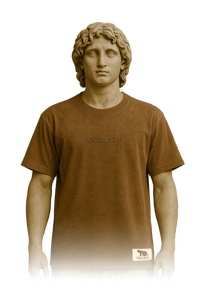Brown Washed T-Shirt