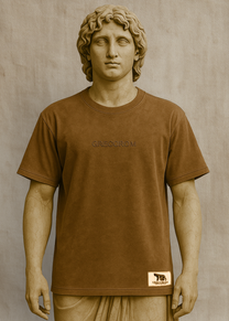 Brown Washed T-Shirt