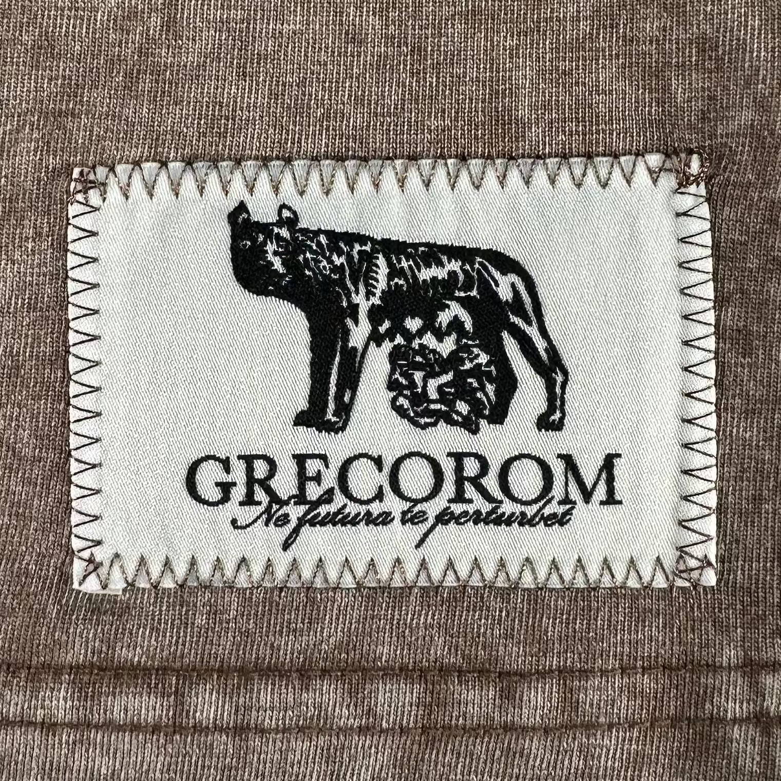Brown Washed T-Shirt